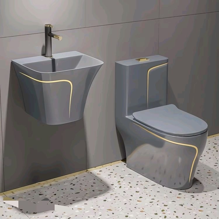 Home One Bathroom Accessories - Inodoro sifónico de cerámica de una