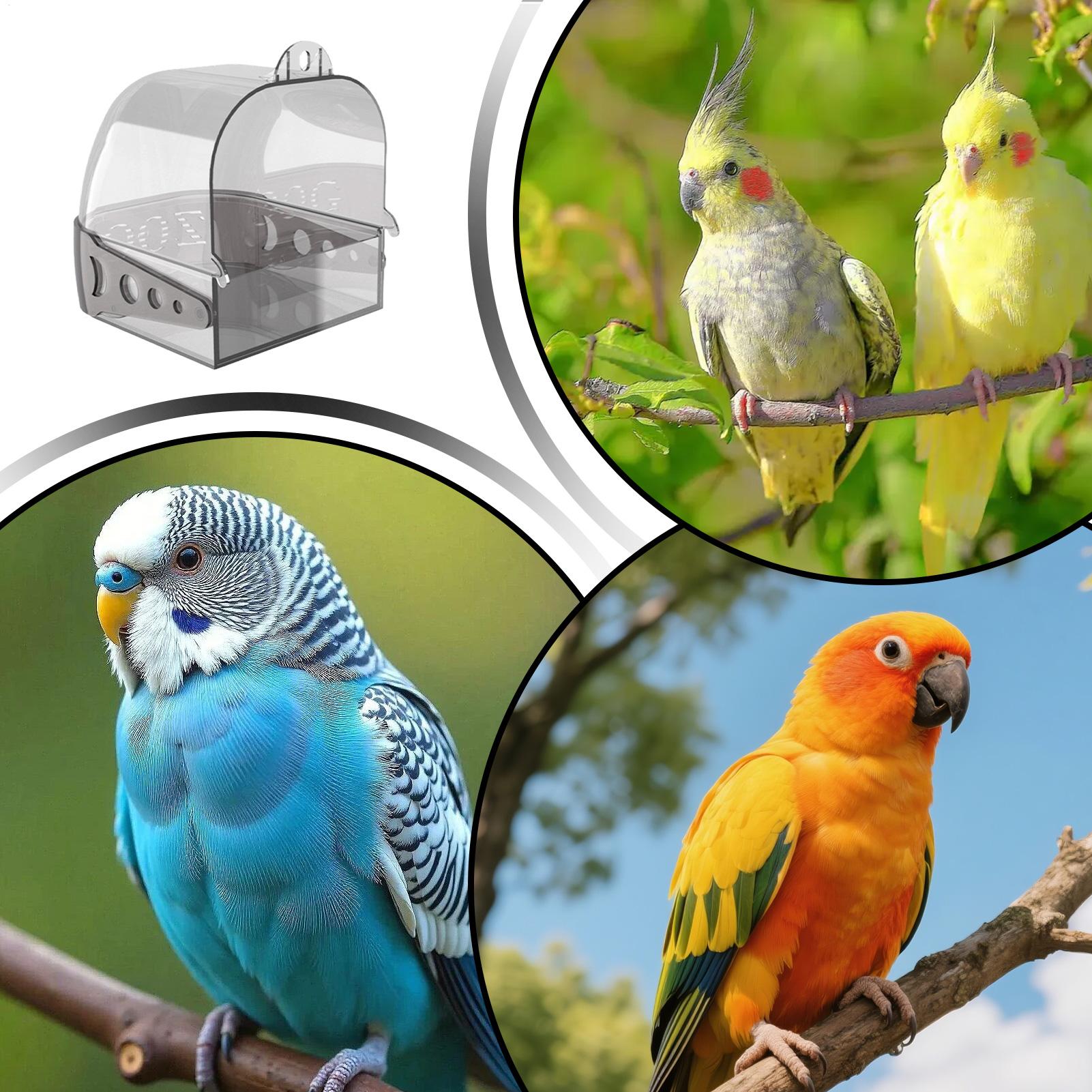 Baño para Pájaros Colgante, De - Home Bath reseña y precio