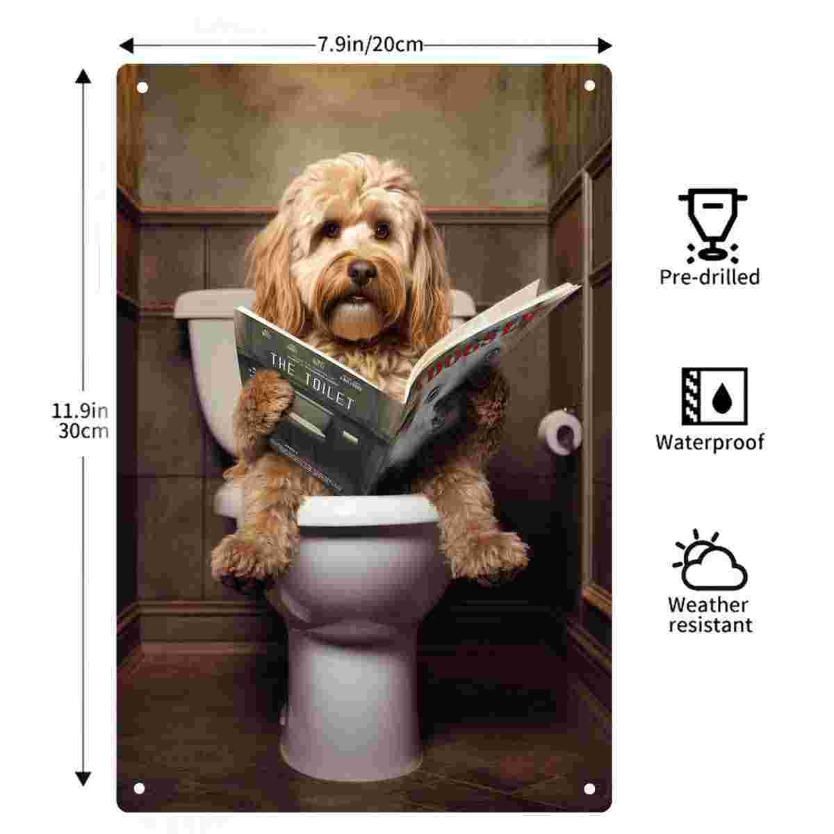 Letrero Metálico Decorativo 2D - Home Bathroom Sign reseña y precio